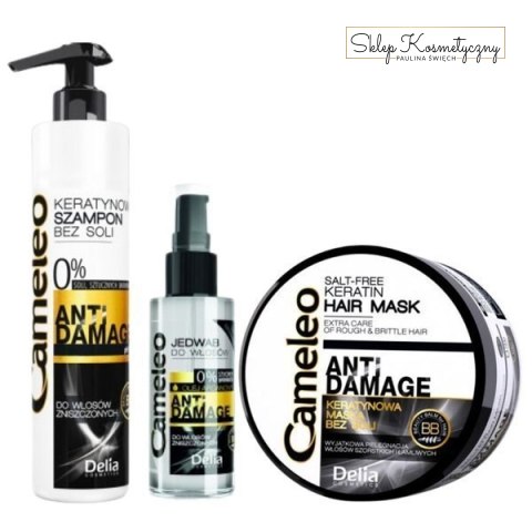 DELIA CAMELEO Zestaw ANTI DAMAGE 3w1 szampon, maska, jedwab