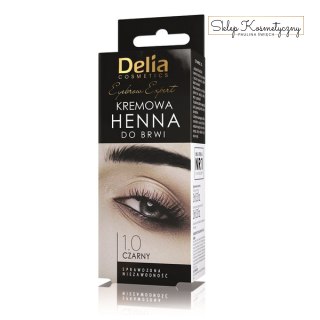 Delia zestaw henna kremowa + aktywator 1.0 czarny