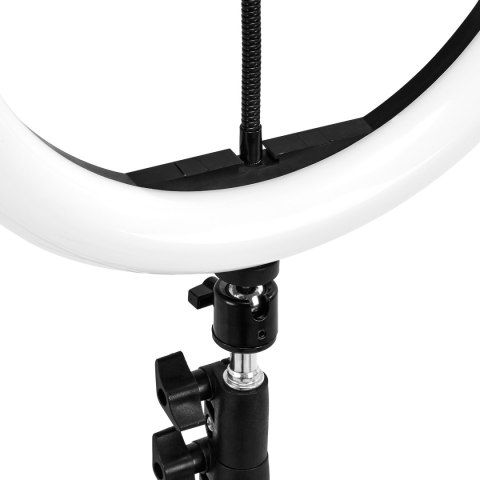 GLOW lampa pierścieniowa ring 10" RGB bsc ze statywem 10W